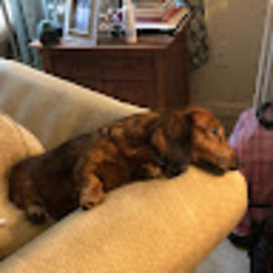 Meet your Posher, Krystal